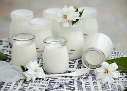 自制醇香酸奶