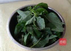 清炒蔊菜的做法图解1