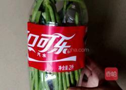 自制酸豆角的做法图解2