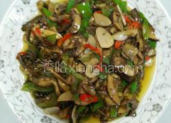 清妙野生菌(小红帽)