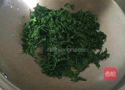 清炒菊花头的做法图解3