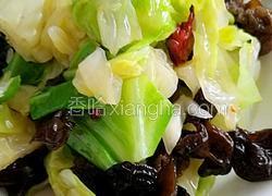 呛拌圆白菜
