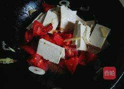 西红柿炖白菜豆腐的做法图解7