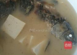 豆腐鲫鱼汤的做法图解4