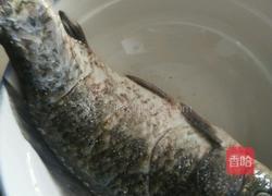 豆腐鲫鱼汤的做法图解2