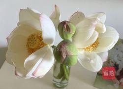 荷花煎蛋的做法图解1