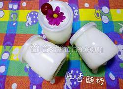 自制酸奶（酸奶引子）