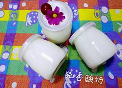 自制酸奶（酸奶引子）