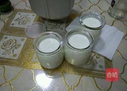 自制酸奶（酸奶引子）的做法图解8