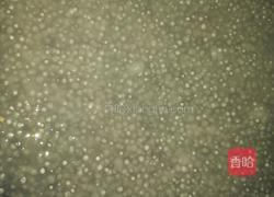 芒果西米露的做法图解2