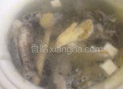 黄芪沙参白茯苓芡实薏米鱼汤