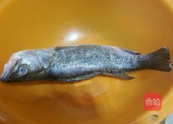 寧蒙蒸鲈鱼(次稱孔雀开屏鱼)的做法图解1