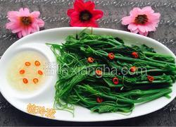 蘸汁南瓜藤