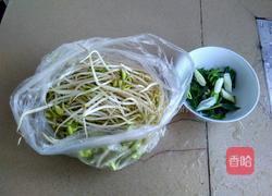 凉拌黄豆芽的做法图解1