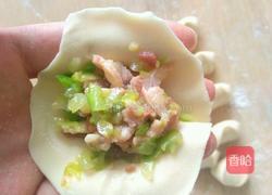 卷心菜培根饺子的做法图解5