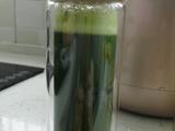 小麦草苹果汁