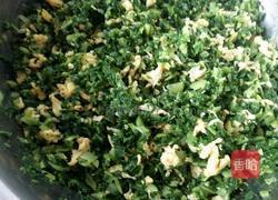 小白菜鸡蛋馅儿的水饺的做法图解4