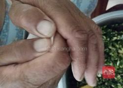小白菜鸡蛋馅儿的水饺的做法图解12