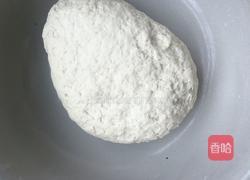 香菜饺子的做法图解4