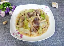 平菇炒卷心菜