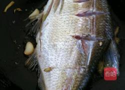 糖醋鱼的做法图解4
