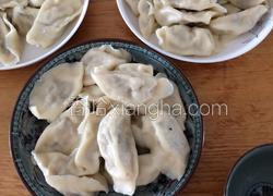 猪肉木耳胡萝卜水饺