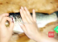 红烧鱼的做法图解1