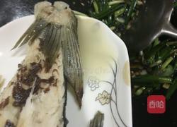 鱼尾节瓜夜兰花汤的做法图解13