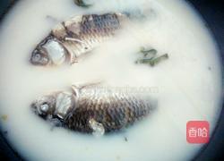 鲫鱼汤的做法图解4