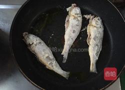 煎蒸黄花鱼的做法图解4