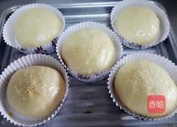 汉堡坯(手工和面)的做法图解9