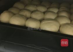 蜂蜜小面包的做法图解8