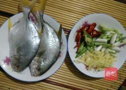 青红辣椒炒鱼的做法图解1