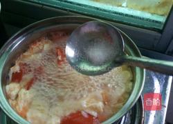 番茄虾米蛋汤的做法图解7