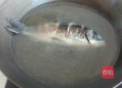 鲫鱼豆腐汤的做法图解5