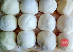 火腿肠椰蓉吐司面包(面粉版)的做法图解6