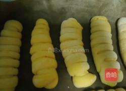 南瓜面包卷的做法图解7