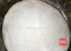 匏瓜鸡蛋虾皮大包的做法图解1