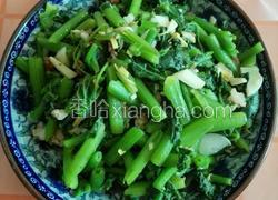 龙须菜