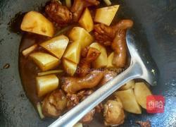 土豆烧鸡的做法图解5