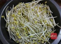 素炒黄豆芽的做法图解1