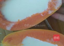 木瓜牛奶冻的做法图解5