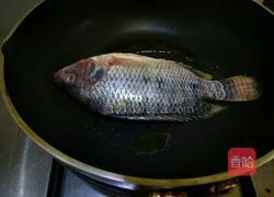 罗非鱼豆腐煲的做法图解4