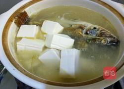 罗非鱼豆腐煲的做法图解8