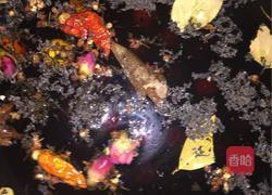 卤鹌鹑蛋（玫瑰花香）的做法图解5