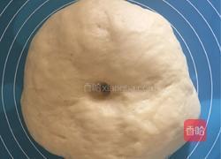 汉堡胚(手工揉面版)的做法图解6