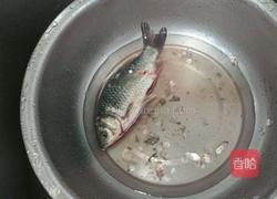干锅鲫鱼的做法图解1