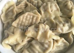 胡萝卜羊肉丸水饺