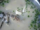 面鱼儿
