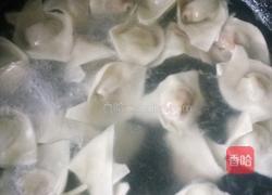 胡萝卜青椒馅馄炖的做法图解16